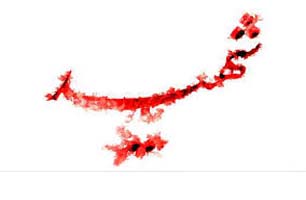 پیکر مطهر شهید «علی جنگروی» شناسایی شد پیکر مطهر شهید «علی جنگروی» شناسایی شد