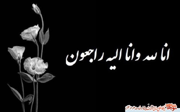 مادر شهید «هادی رضوانی» به فرزند آسمانی اش پیوست