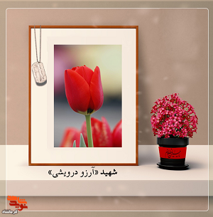 علاقه خاصی به تحصیل داشت