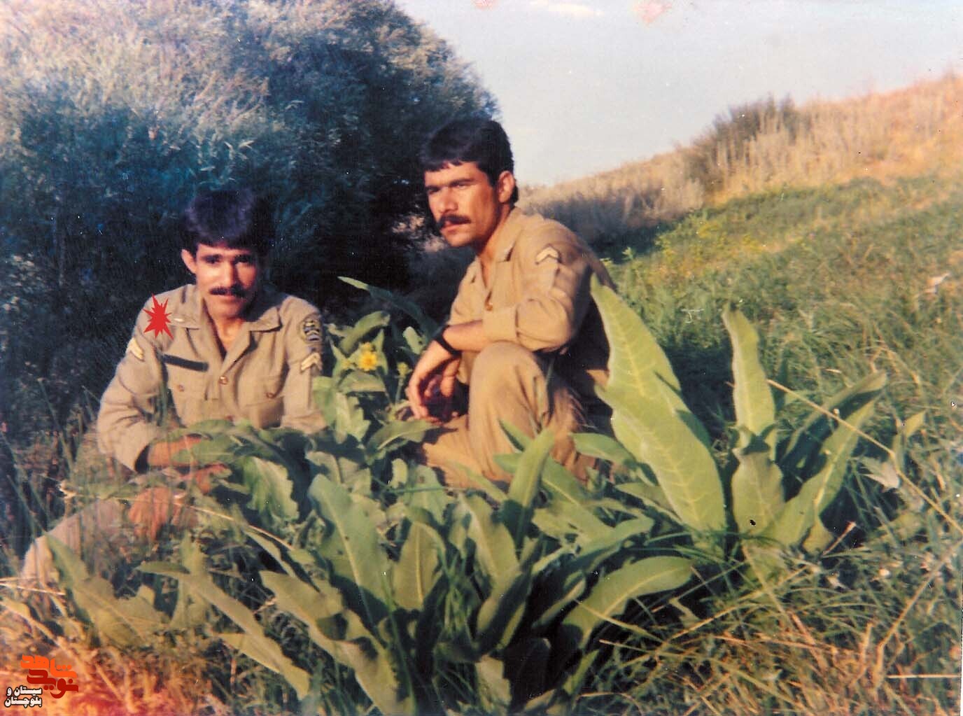 شهید«محمدامیر زورقی» در قاب تصاویر