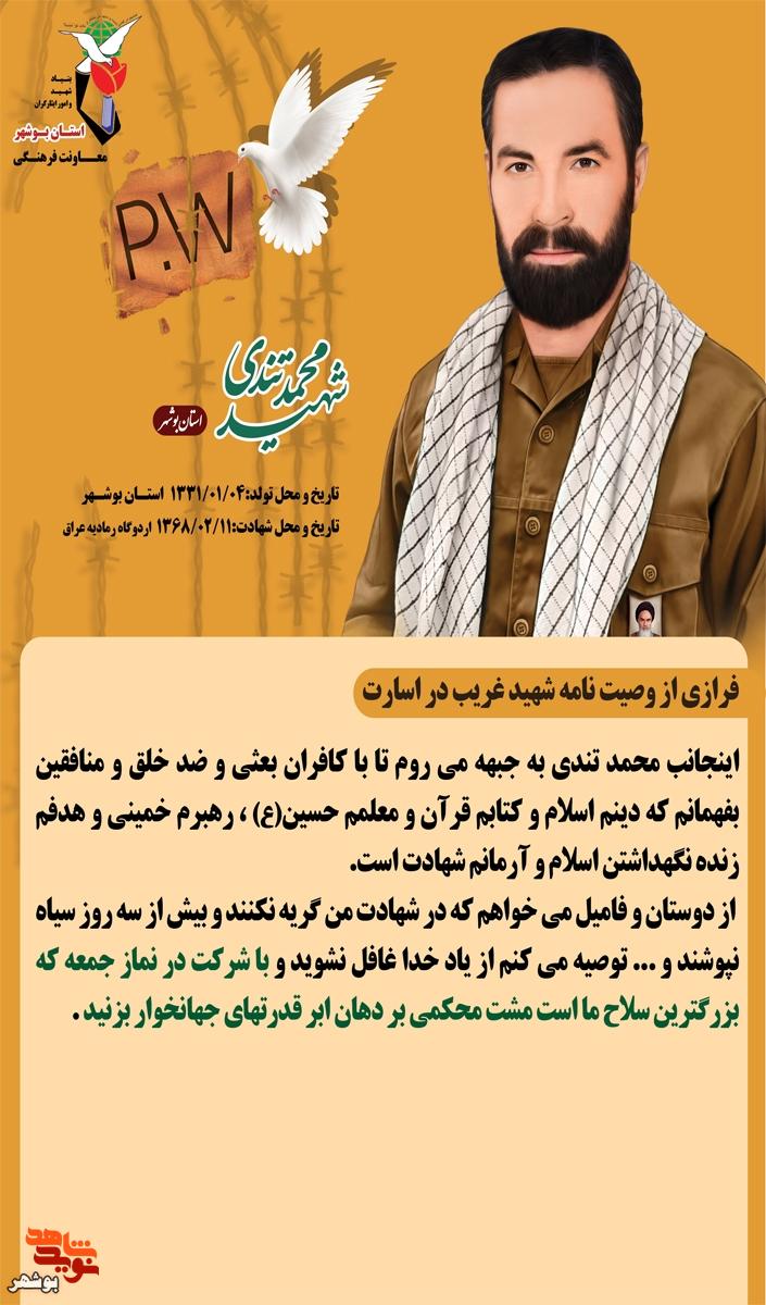 اینفوگرافی شهید محمد تندی اینفوگرافی شهید محمد تندی