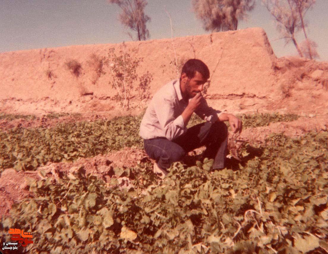 آلبوم تصاویر شهید«محمودرضا شیخ ویسی» منتشر شد