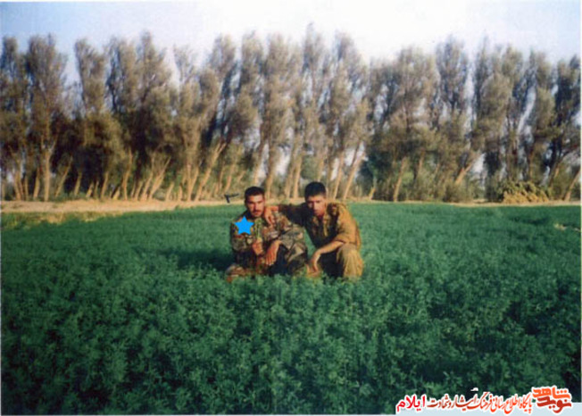 شهید یونس شاولی از شهدای رومینی استان ایلام