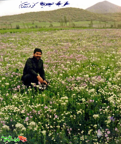 طبیعت زیبای کردستان