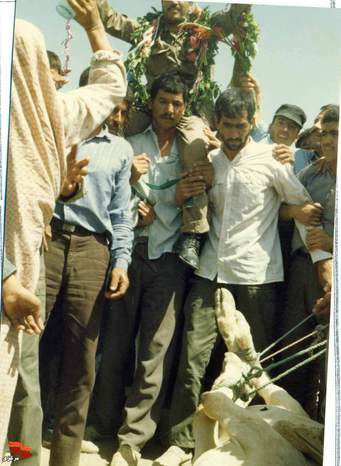 آزاده محس رفیعی